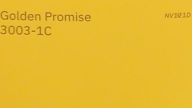 Paint chip labeled "Golden Promise"