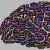 Site icon for PSYC 3330: Community Psychology Photovoice Projects