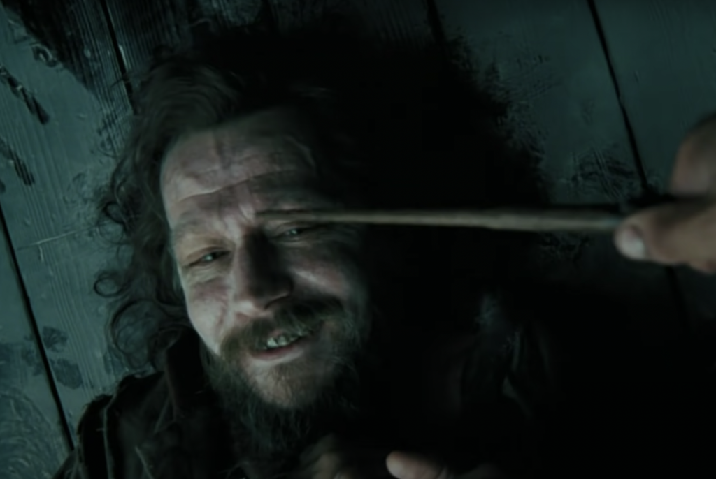 Sirius black is the main focus of this photo. It is an up close shot of his face while he is laying on the ground. His face looks dirty and wrinkled and his hair lays crazily around his head. He is smiling. His teeth look like they are rotting. Harrys hand can be seen on the right of the photo as he points his wand in between Sirius' eyes. 